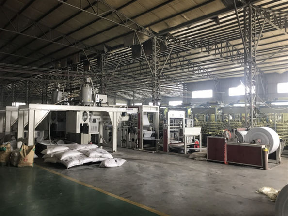 Yiyang Wanlin Weave Packing Co., Ltd. 工場生産ライン