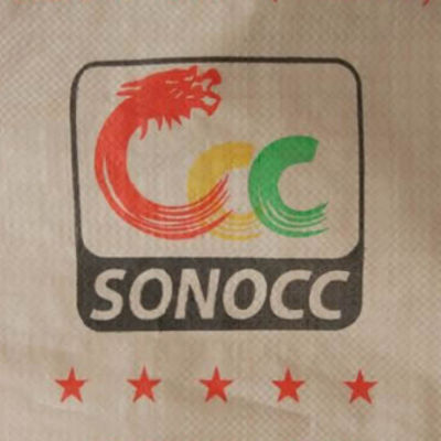 50KG PP セメントバルブバッグ（自己粘着シール付き）